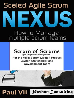 cover image of Agile Project Management Box Set